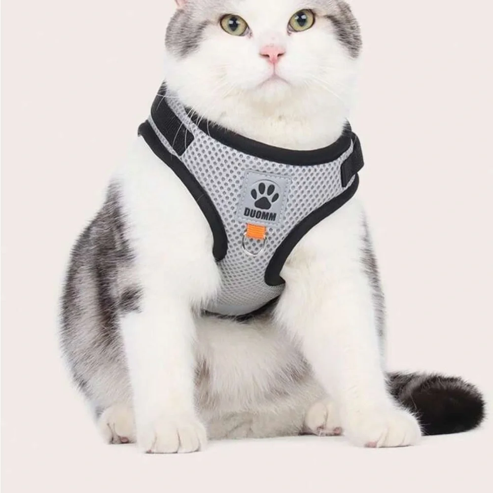 Gray Cat Harness